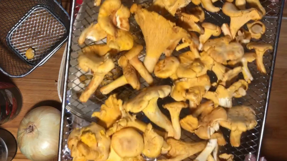 Pfifferlinge aus der Heißluftfritteuse -03