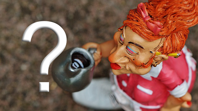 Heissluftfritteuse Bedienungsanleitung – Gebrauchsanleitung nach Geräte