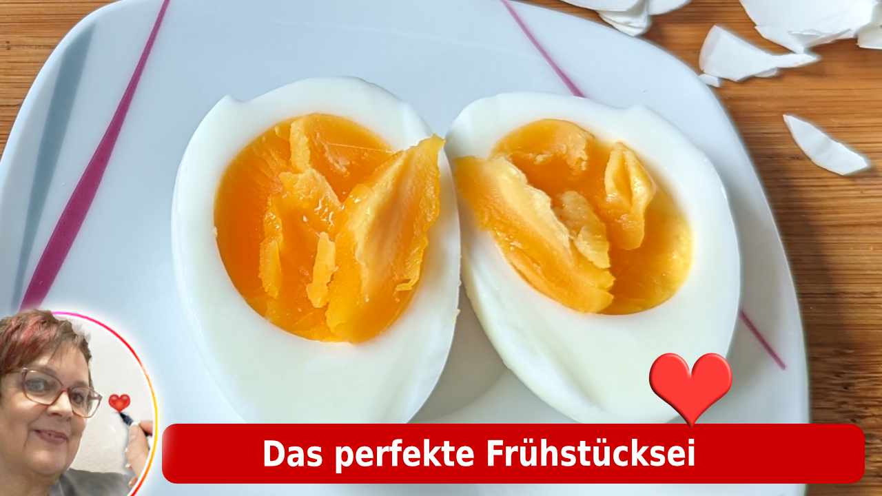 1-neue Vorlage